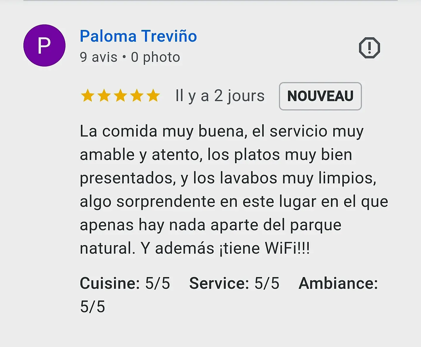 avis google de paloma trevino 5 etoiles